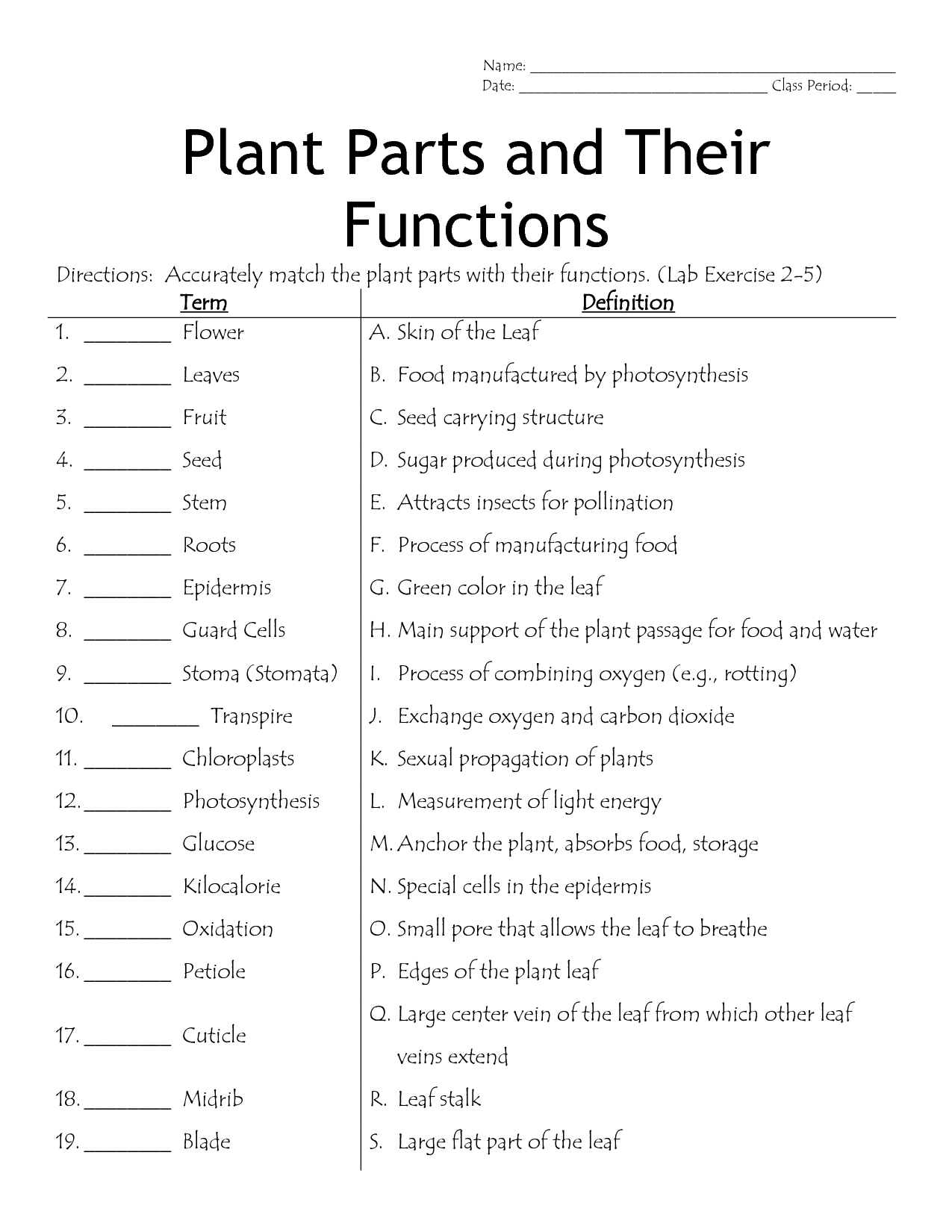 flower structure and function worksheet
